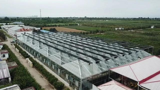 陜西種苗集團(tuán)成為全國最大國有種苗基地