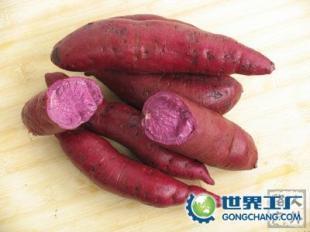 供應河北山東山西陜西安徽江蘇湖北浙江紫薯及種苗_食品、飲料_世界工廠網中國產品信息庫